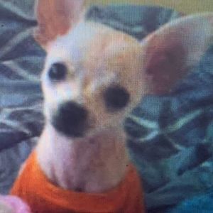 Meet your Posher, Ursula